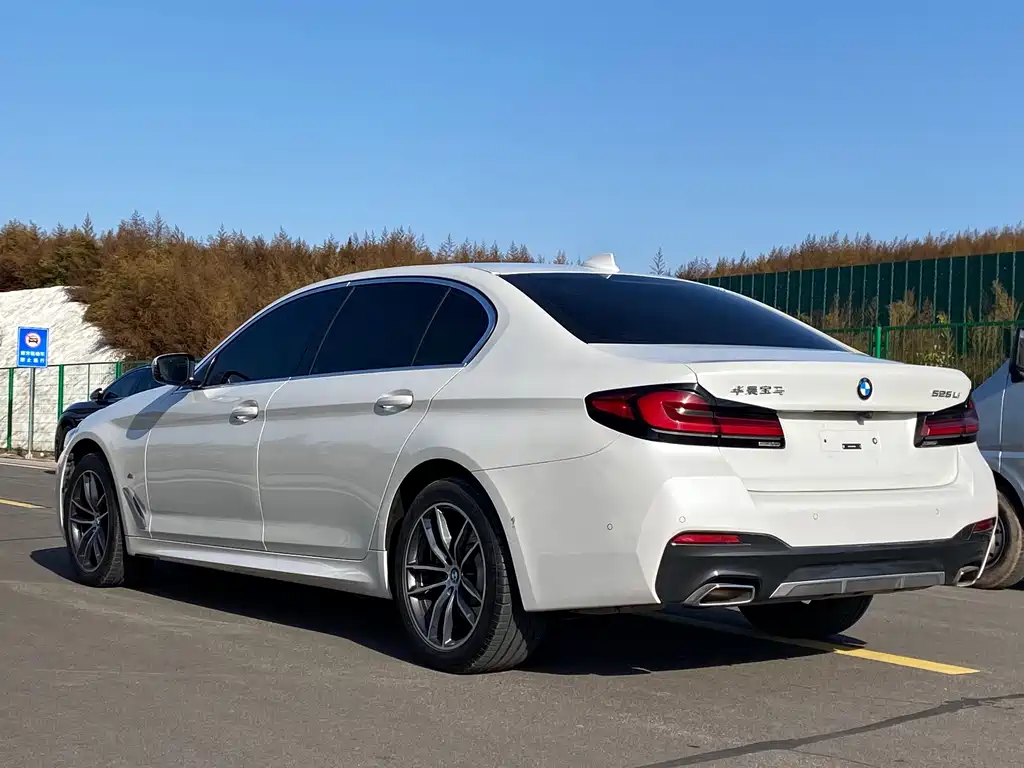 BMW 5 Series — миниатюра 7