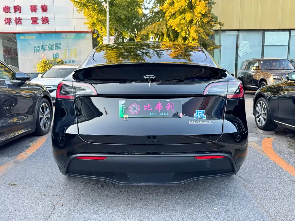 Tesla Model Y — миниатюра 8