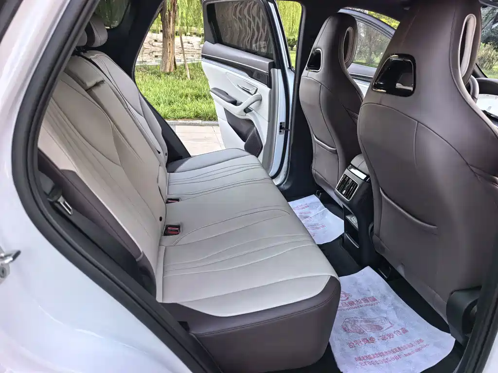 BYD PLUS New Energy — миниатюра 10