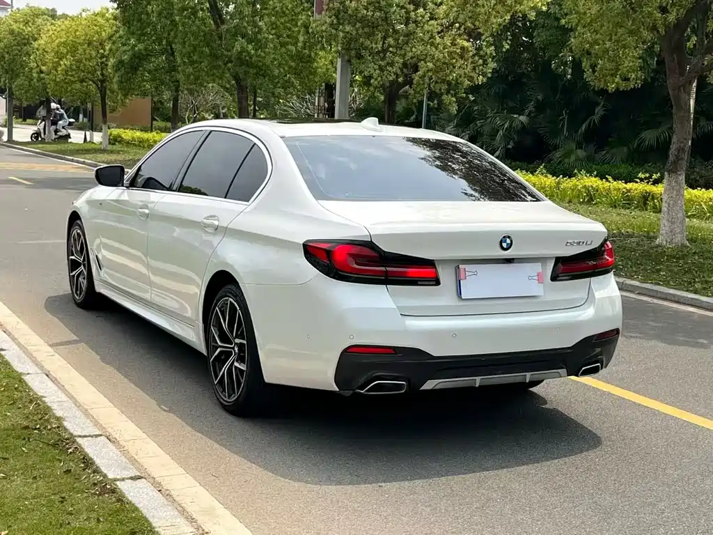 BMW 5 Series 5 2021 530Li Premium M Sport