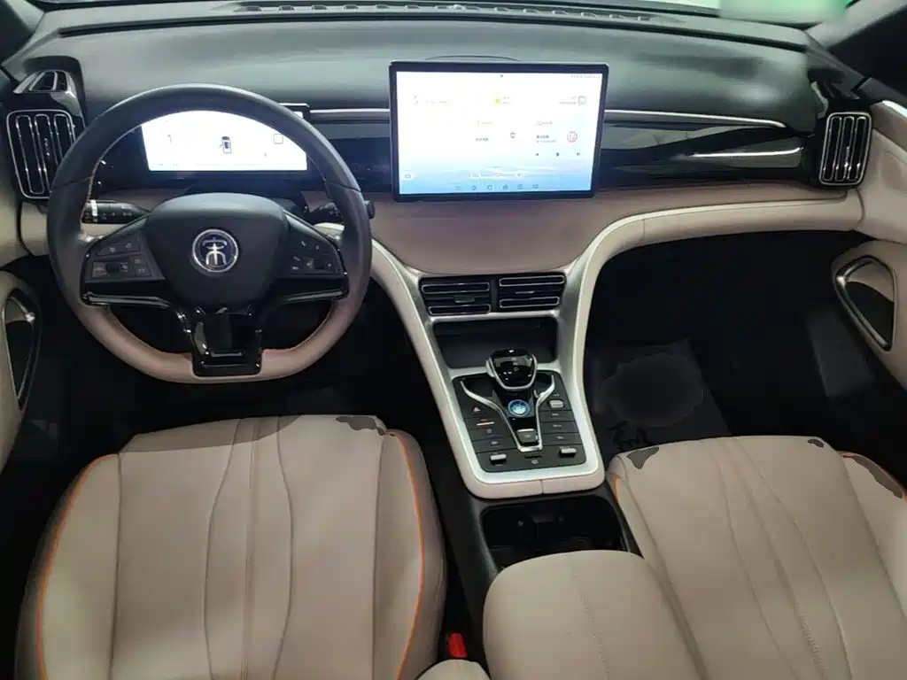 BYD Pro New Energy — миниатюра 10