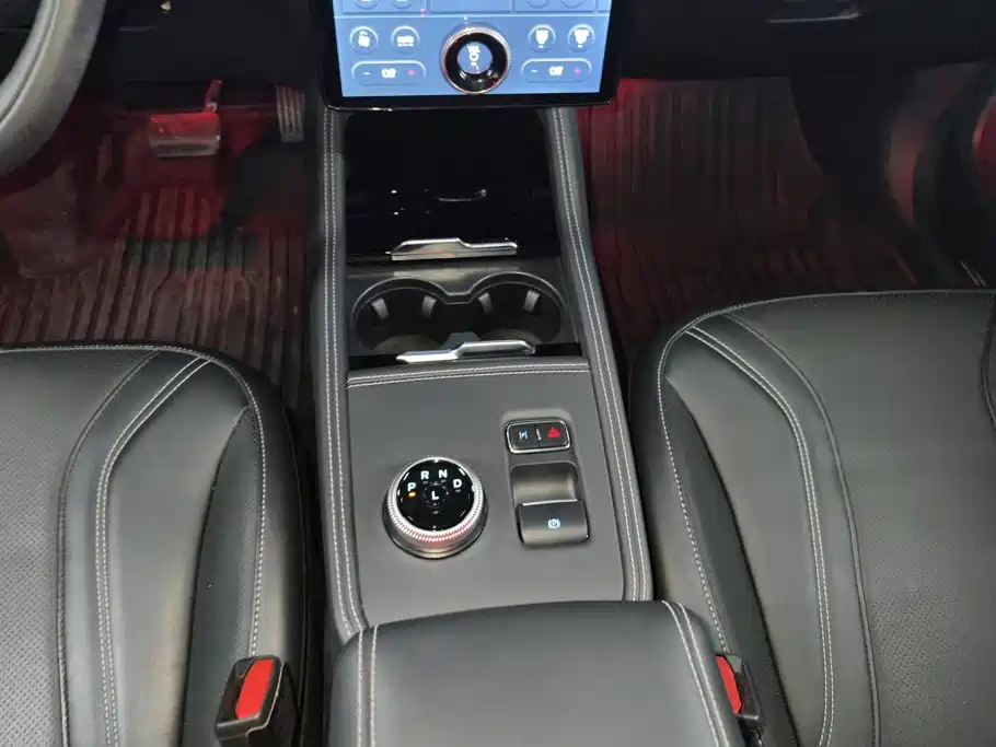 Ford Mustang Mach-E — миниатюра 16
