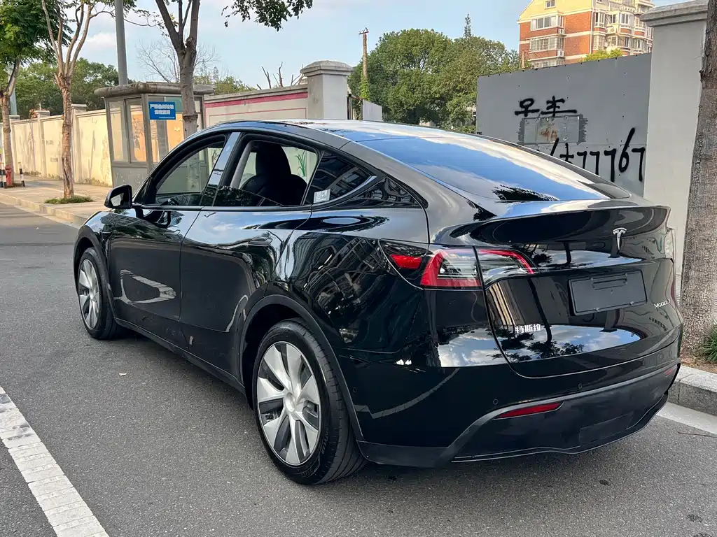 Tesla Model Y — миниатюра 12