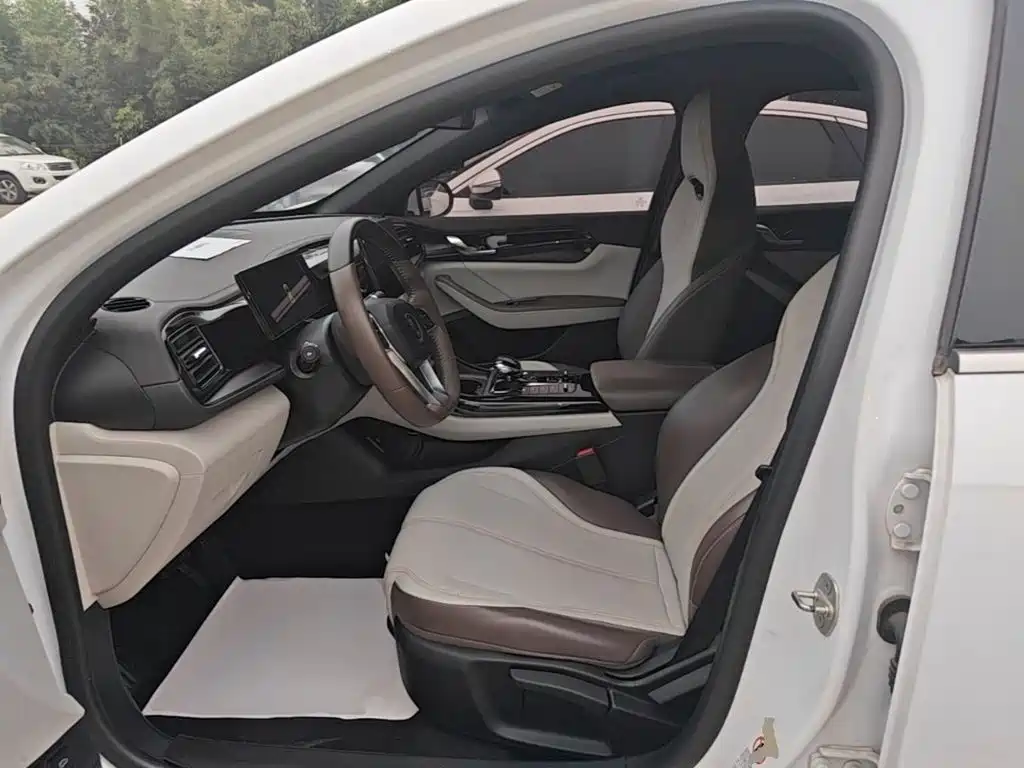 BYD Qin PLUS — миниатюра 15
