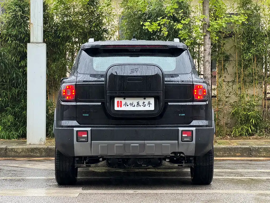 Shanhai Shanhai T1 — миниатюра 13