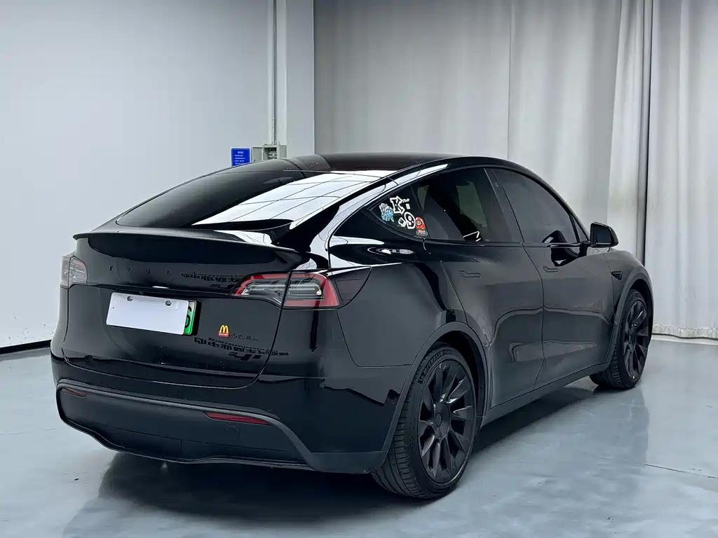 Tesla Model Y — миниатюра 2
