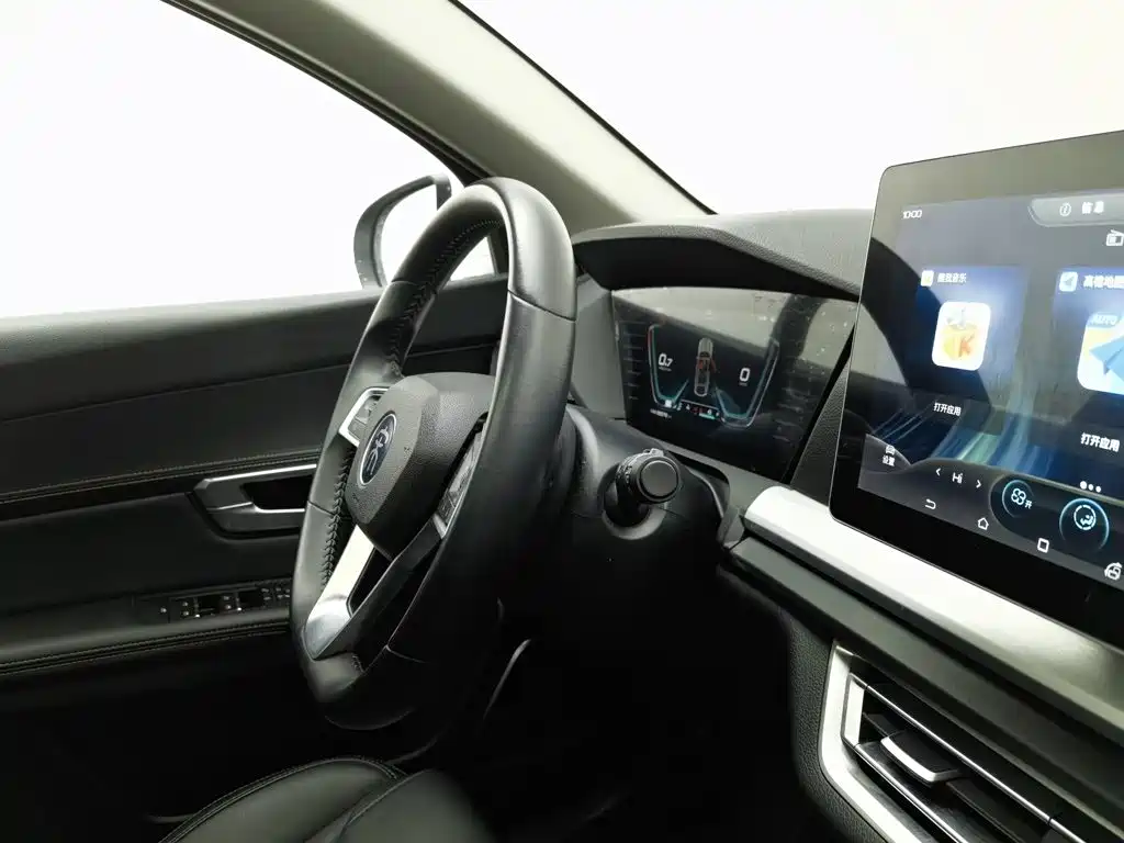 BYD Pro — миниатюра 22