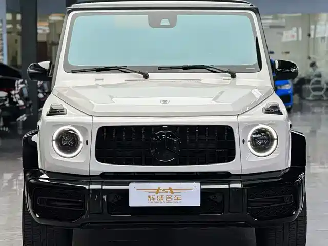 MERCEDES-BENZ G CLASS