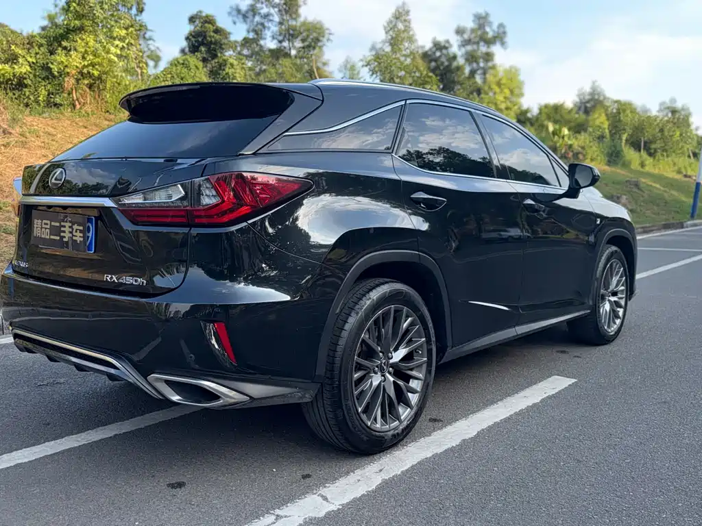 Lexus RX — миниатюра 6