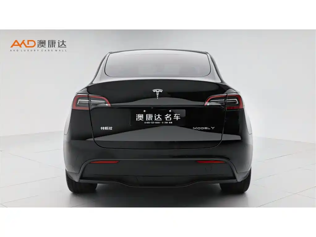 Tesla Model Y — миниатюра 4