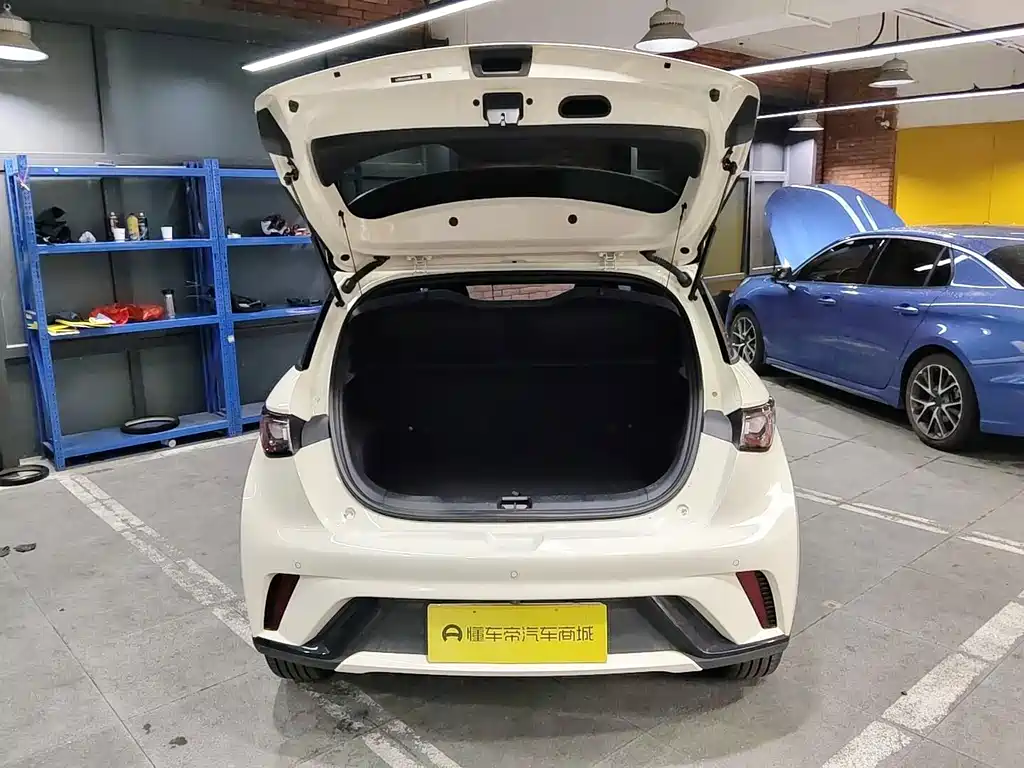 BYD Dolphin — миниатюра 21
