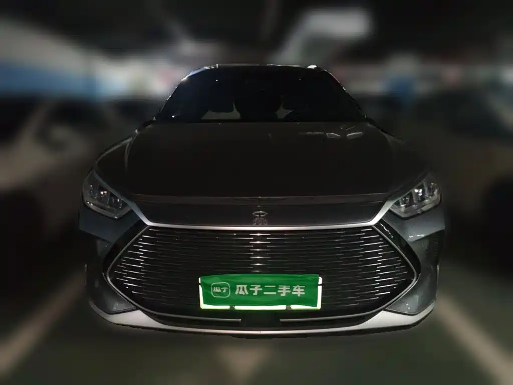 BYD PLUS New Energy — миниатюра 3