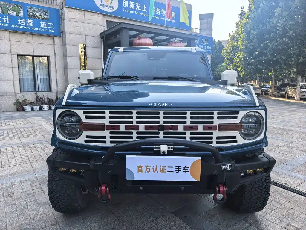 Ford Bronco — миниатюра 2