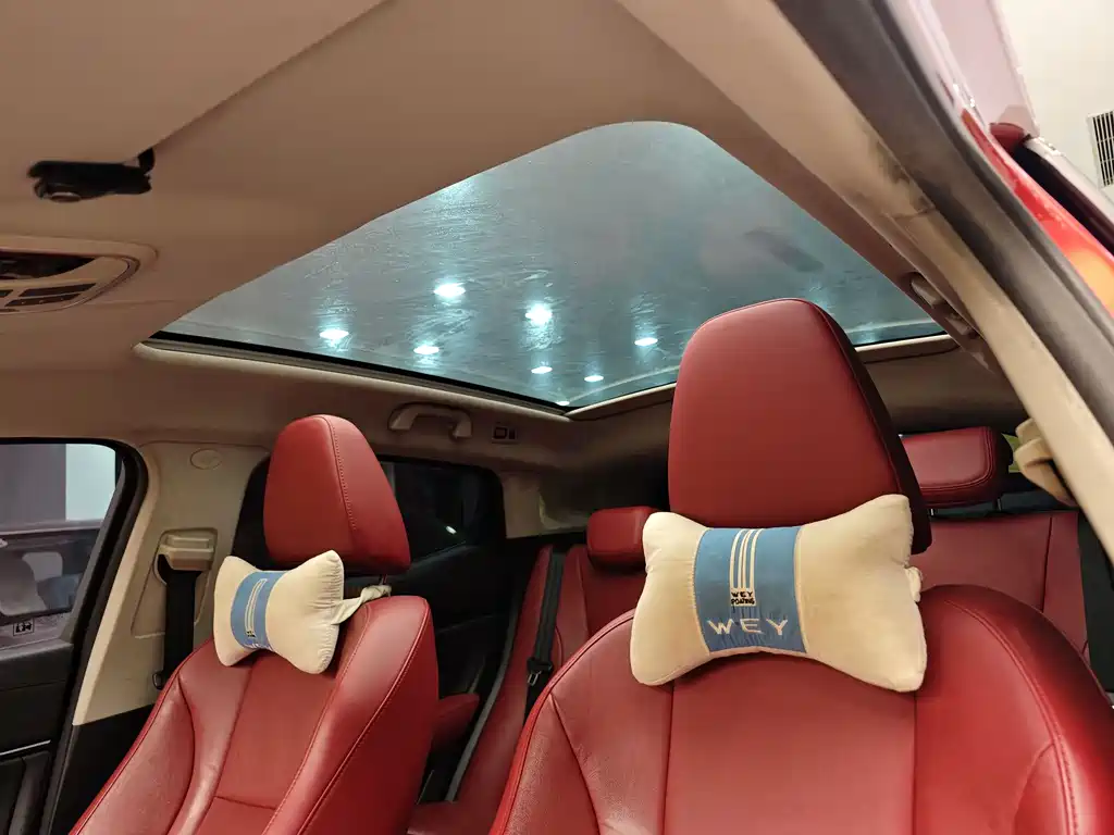 WEI PAI WEI BRAND VV5