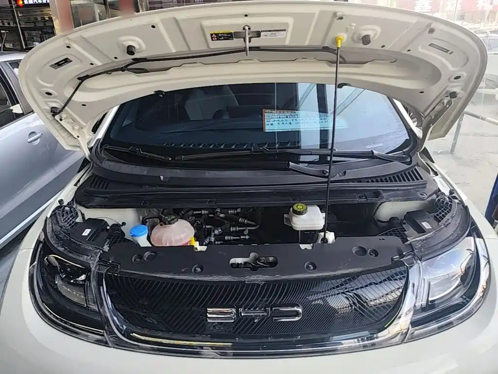 BYD Dolphin — миниатюра 20