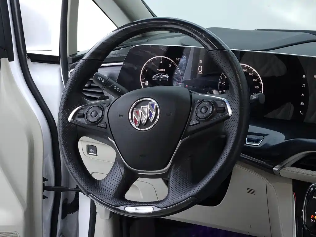 Buick GL8 — миниатюра 11