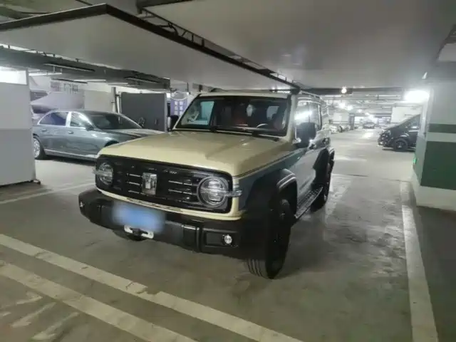 2025 TANK 300