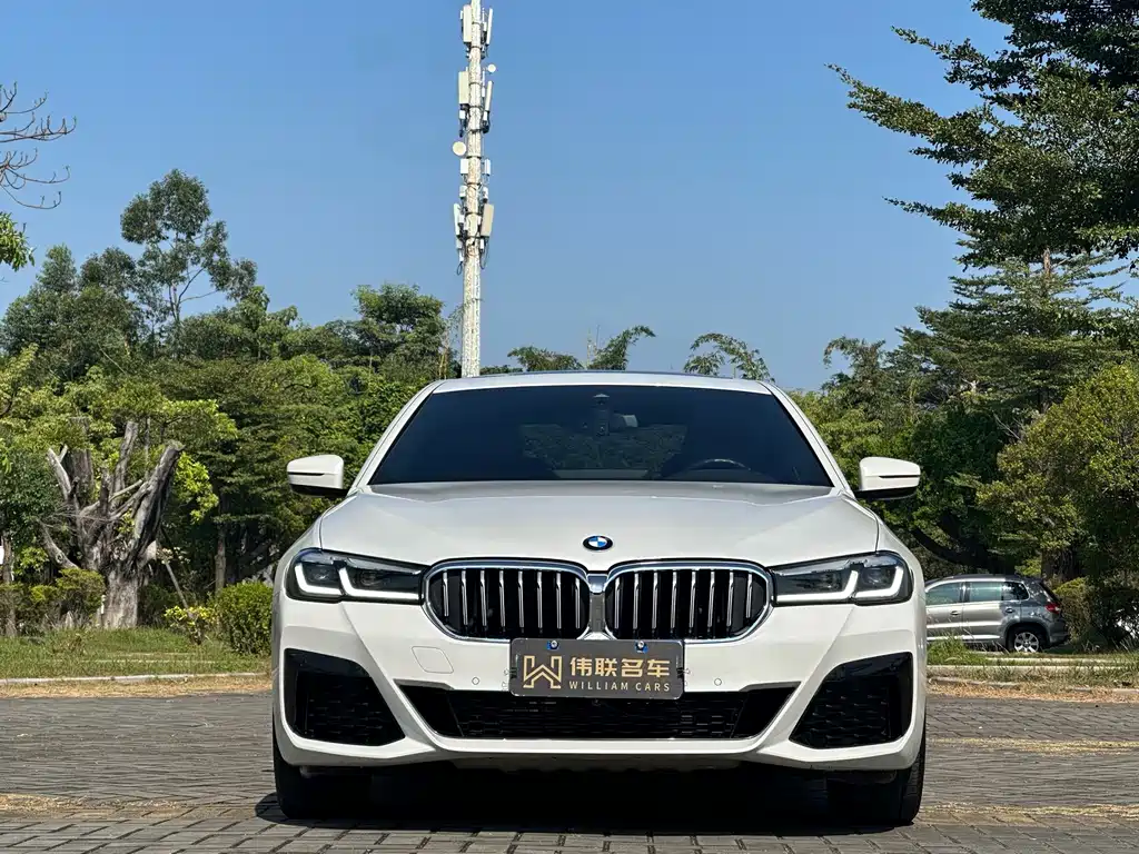 BMW 5 Series — миниатюра 2