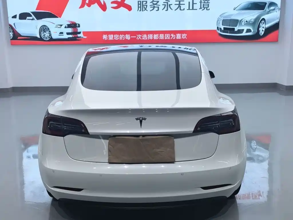 Tesla Model 3 — миниатюра 14