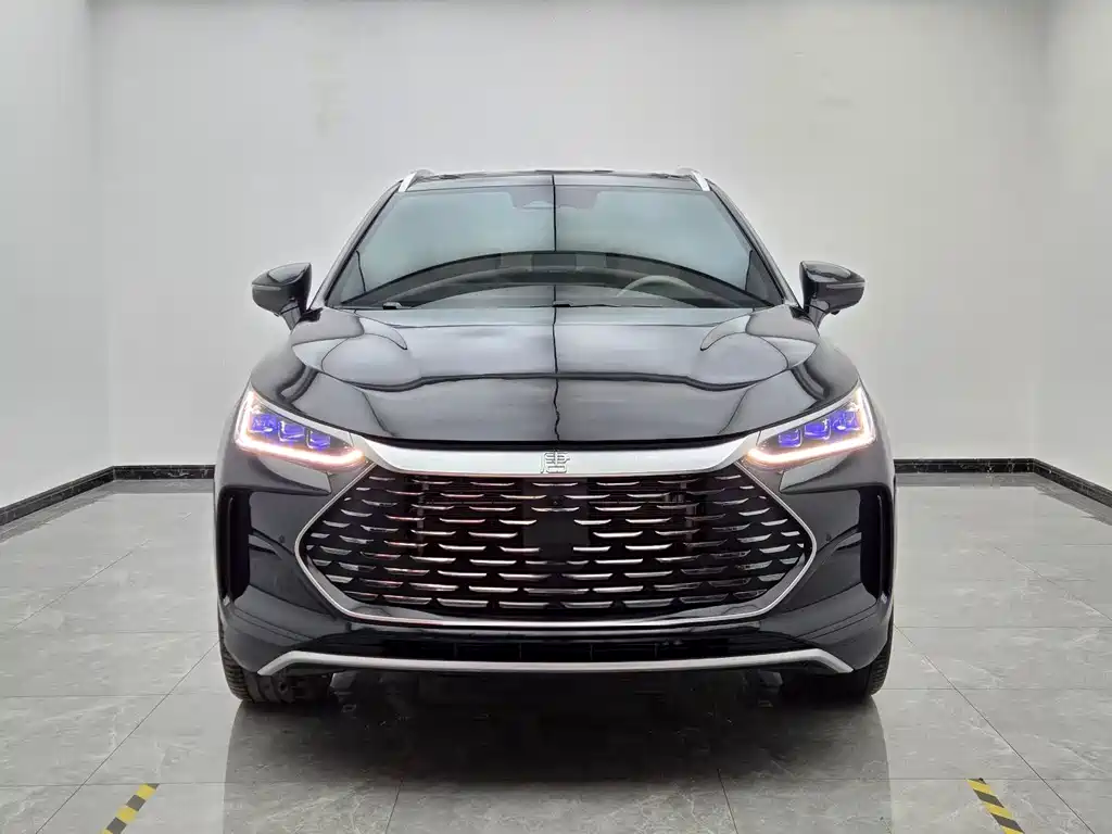 BYD Tang New Energy — миниатюра 2