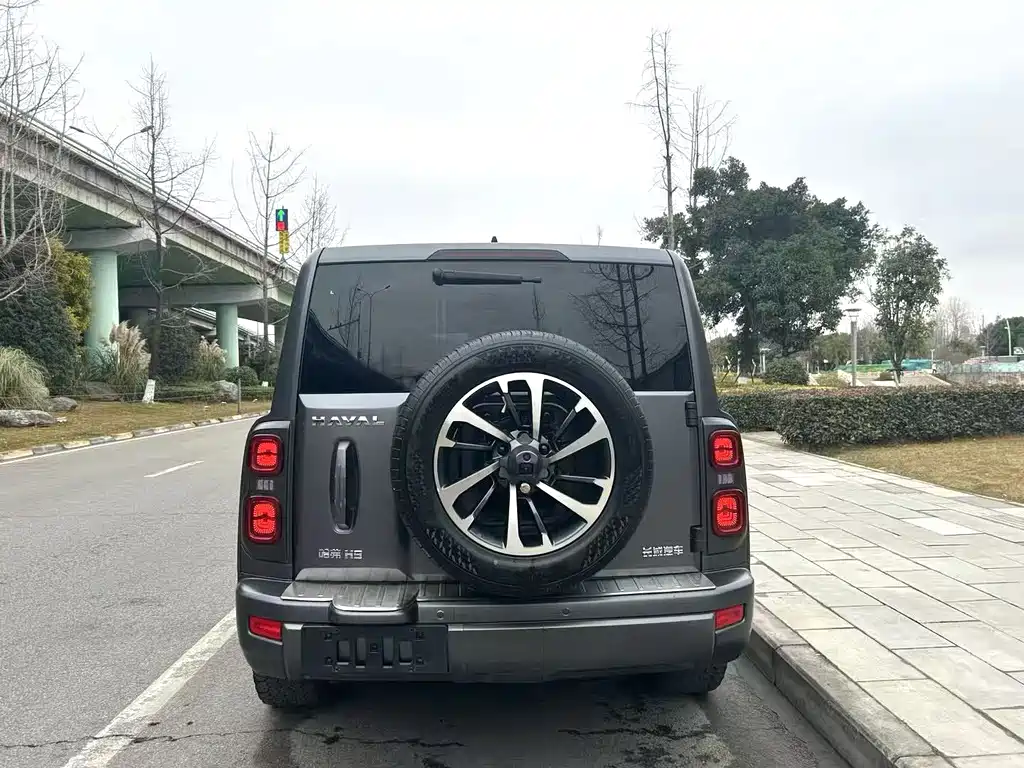 HAVAL H9