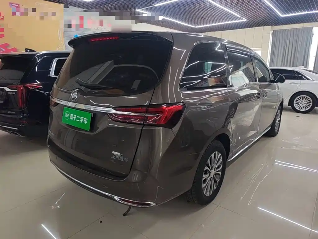 Buick GL8 — миниатюра 5