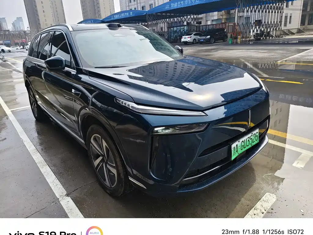 WEI PAI WEI BRAND BLUE MOUNTAIN