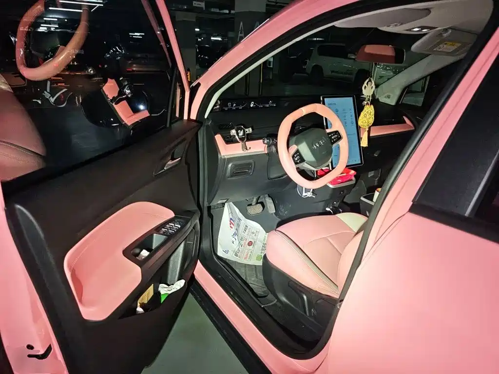 Neta Neta V — миниатюра 17