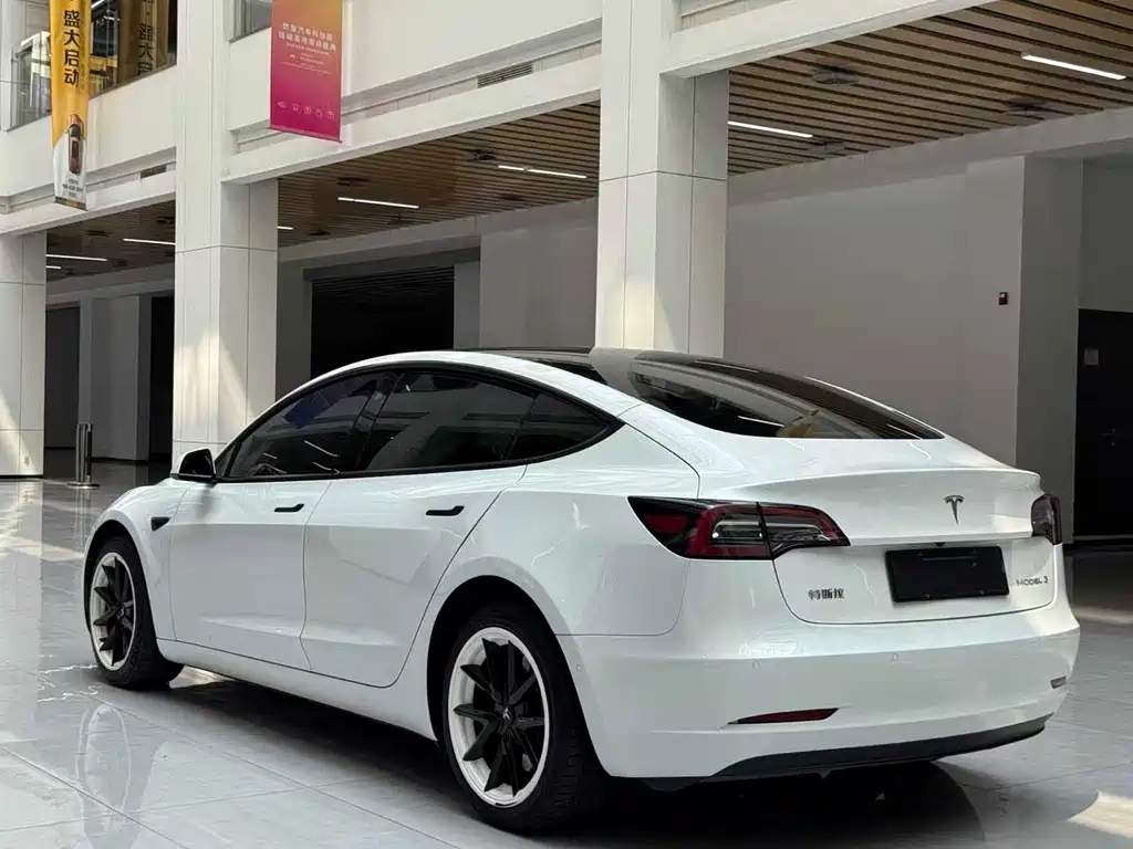 Tesla Model 3 2021 3D6