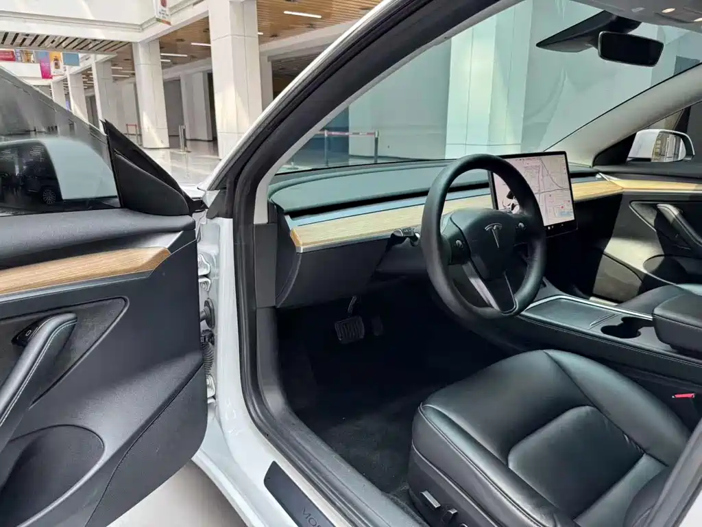 Tesla Model 3 2021 3D6