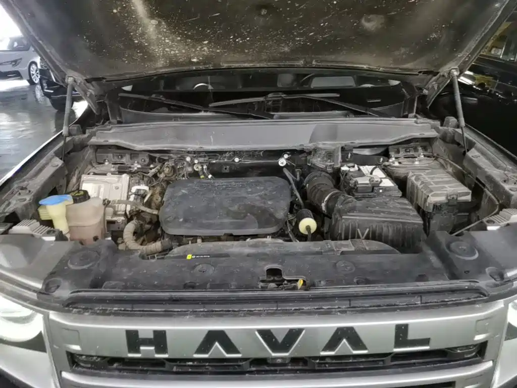 Haval Big Dog — миниатюра 20