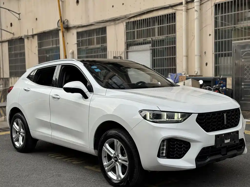 WEI PAI WEI BRAND VV5