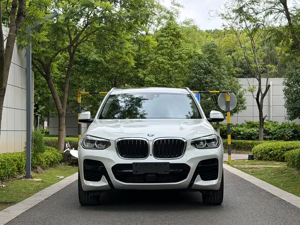 BMW X3 2020 xDrive30i Lead M Sport