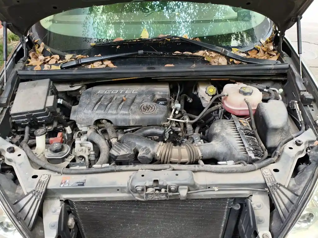 Buick GL8 — миниатюра 11