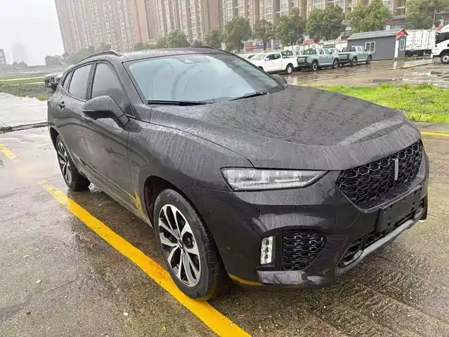2019 Wey VV7