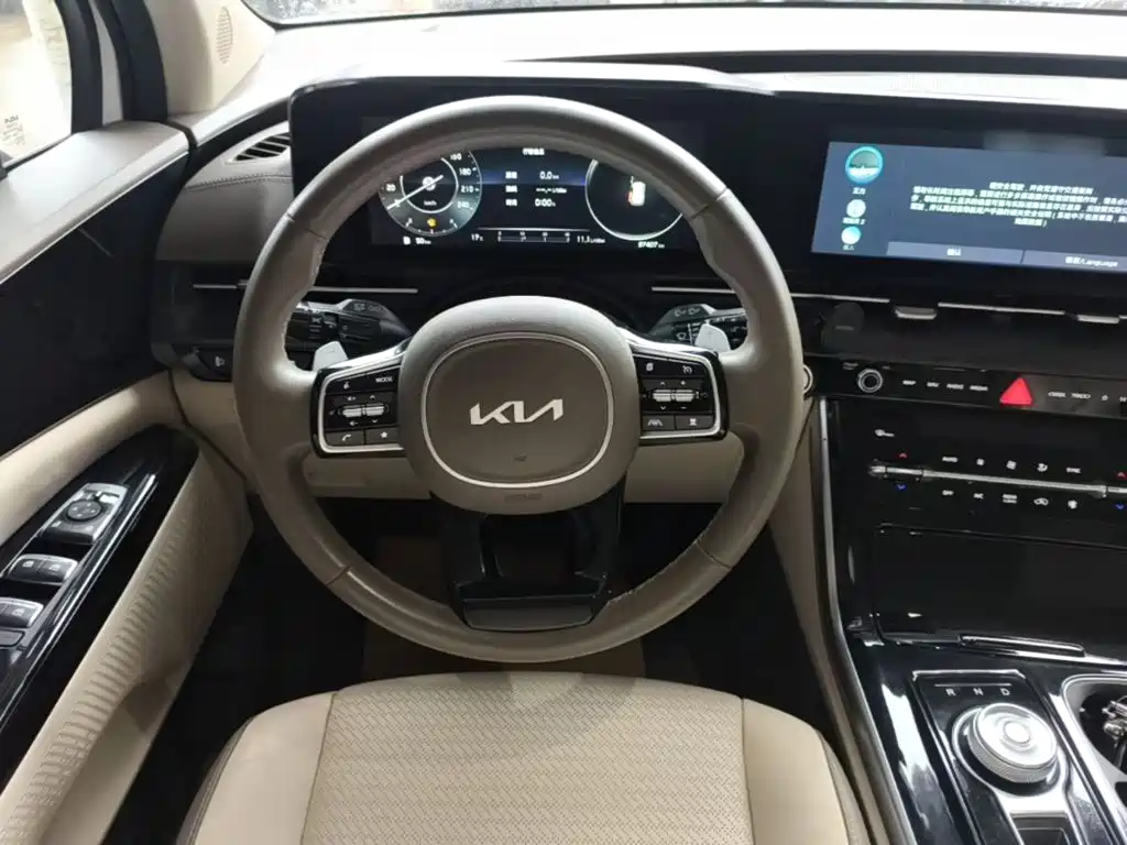 Kia Carnival — миниатюра 11