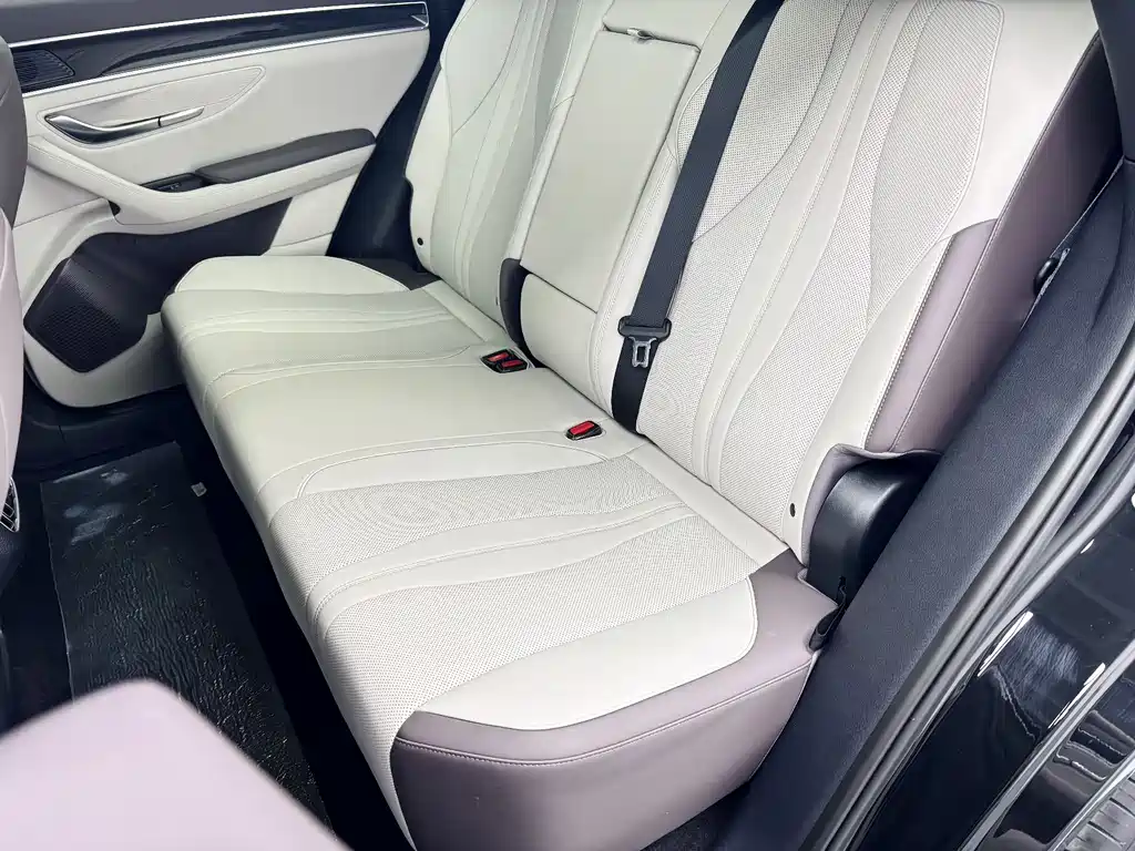 BYD SONGJIANG NEW ENERGY