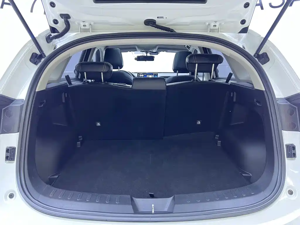 Haval Chitu — миниатюра 14