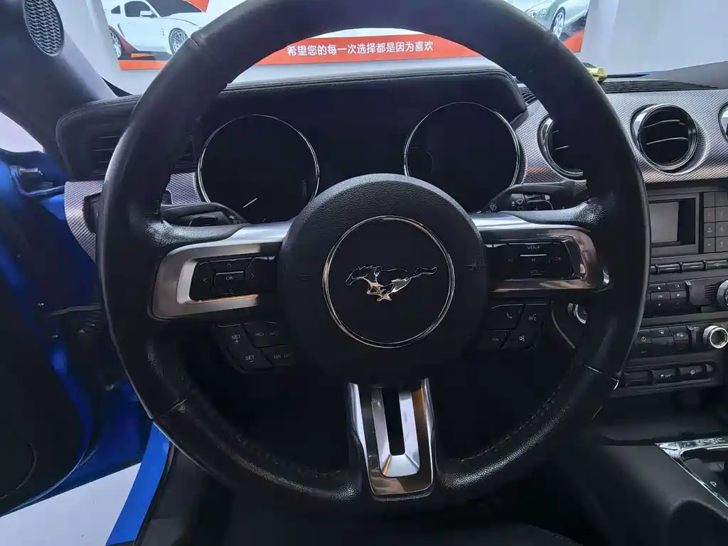Ford Mustang — миниатюра 10