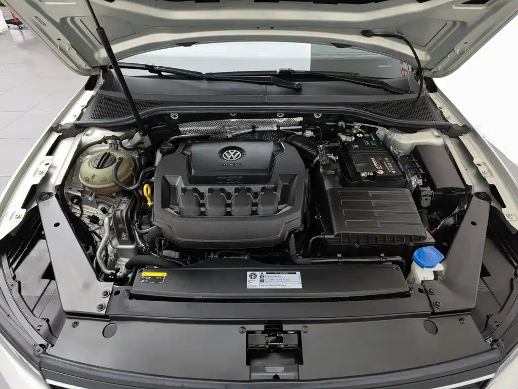 Volkswagen Magotan 2020 330TSI DSG Luxury