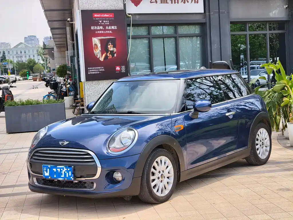 Mini Mini 2015