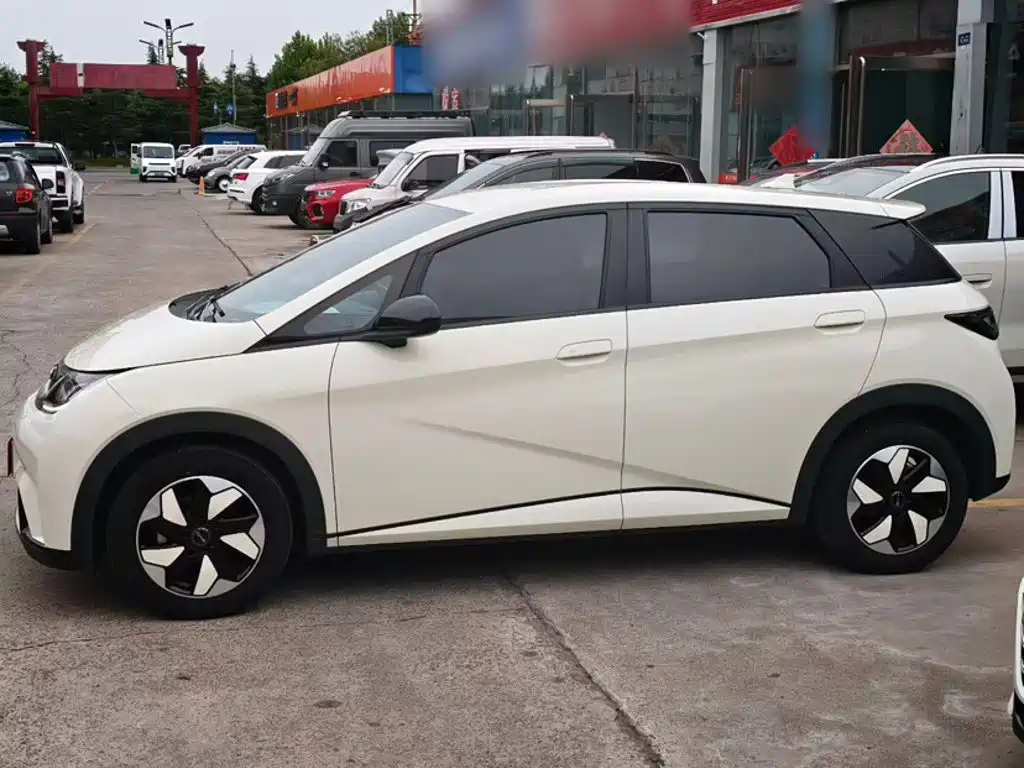 BYD Dolphin — миниатюра 7