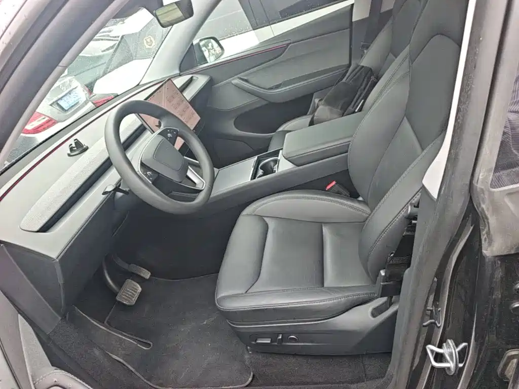Tesla Model Y — миниатюра 15