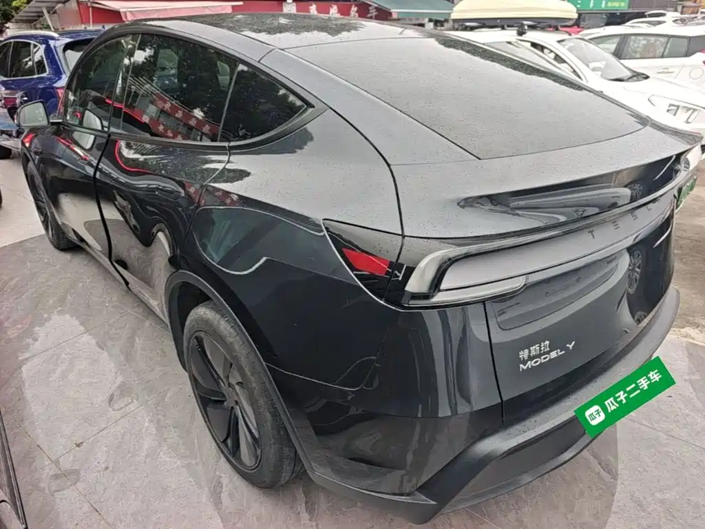 Tesla Model Y — миниатюра 5