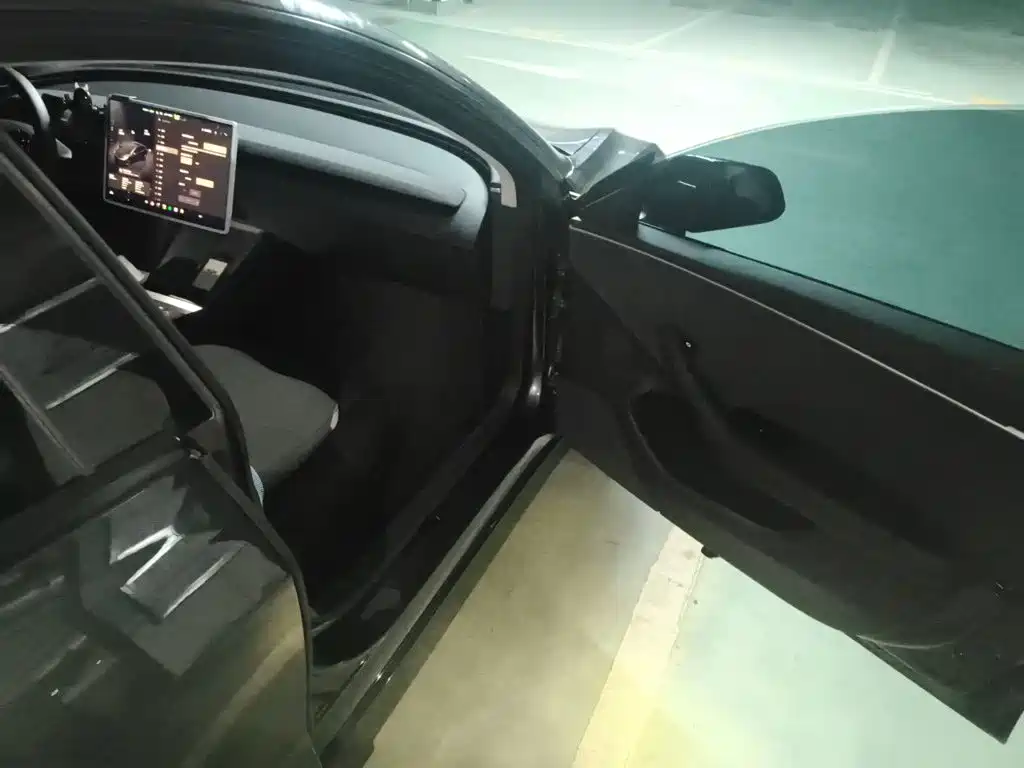 Tesla Model 3 — миниатюра 19