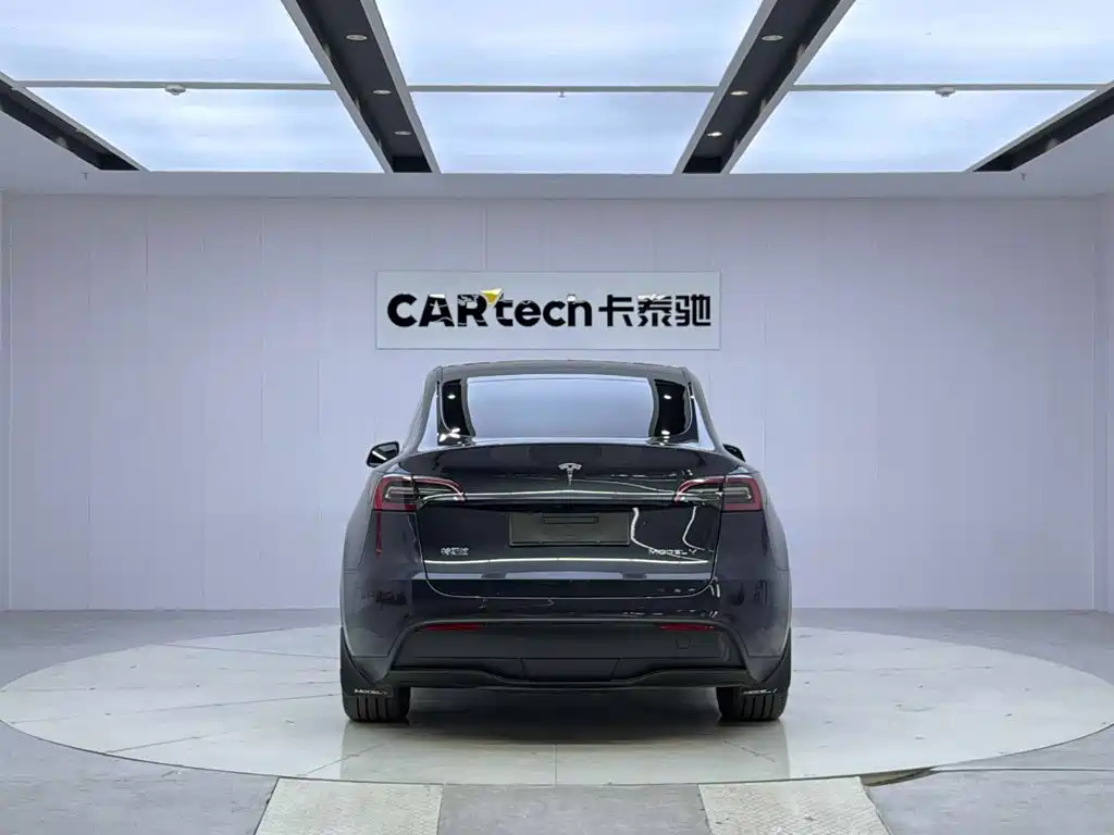 Tesla Model Y — миниатюра 4