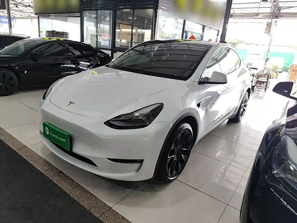 Tesla Model Y — миниатюра 2