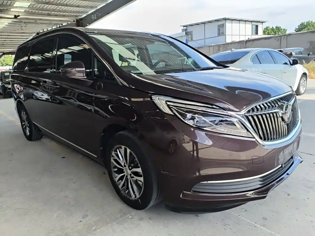 Buick GL8 — миниатюра 4