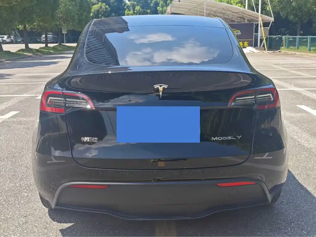 Tesla Model Y — миниатюра 9