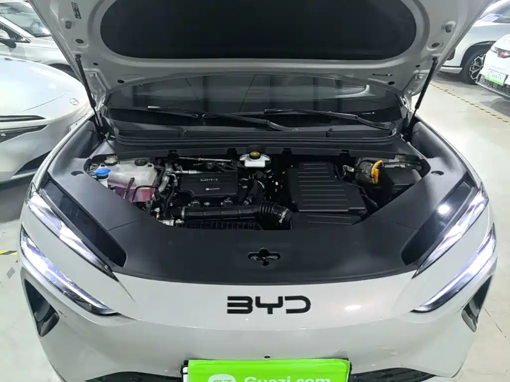 BYD Sealion 06 — миниатюра 20